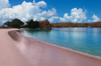 Pantai Pink, Lombok